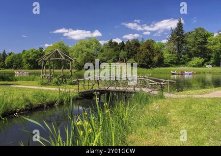 Woerlitzer Park See, englisches Gelände des Woerlitzer Sees 19 Stockfoto