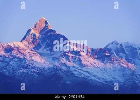 Bunte rote Glut auf den Gipfel des verschneiten Matschaputschare Himalayan Mountain Peak in der Morgendämmerung Sonnenaufgang in Nepal Stockfoto