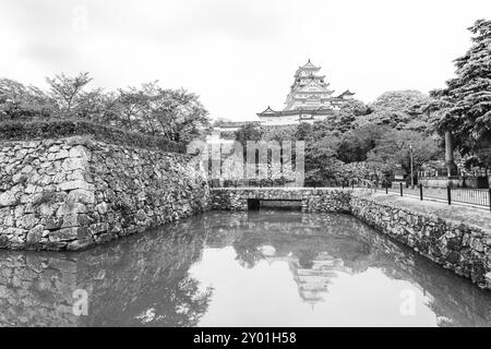 Die Himeji-Jo-Burg spiegelt sich im grünen Wasser des umgebenden Grabens und der Stadtmauer während des bewölkten Tages in Himeji, Japan, nach der Renovierung im Jahr 2015 Stockfoto