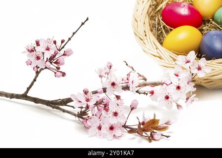 Ostermotiv auf weißem Hintergrund Stockfoto