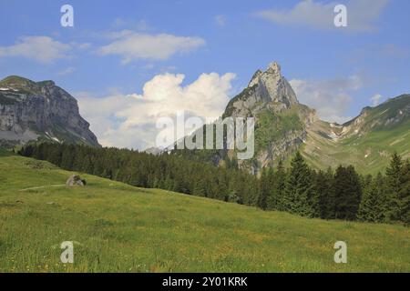 Sommerszene im Kanton Appenzell. Hundstein. Berg der Alpsteinkette Stockfoto