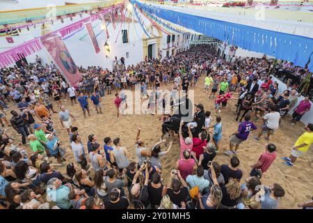 Jaleo, traditioneller Tanz mit Pferden, ursprünglich aus dem 14. Jahrhundert, Festlichkeiten von Sant Bartomeu, Ferreries, Menorca, Balearen, Spanien, Eur Stockfoto