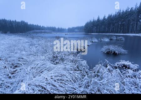 Wilder See im Schnee am Wintermorgen Stockfoto