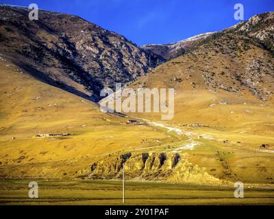 Yaks Farm am Berg in Sichuan, China, Asien Stockfoto