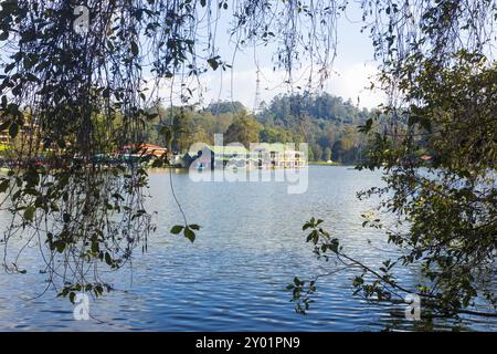 Kodaikanal, Indien, 8. März 2015: Bootshaus des Boat and Ruwing Club durch schroffe Äste am Kodaikanal Lake in Tamil Nadu, Asien Stockfoto