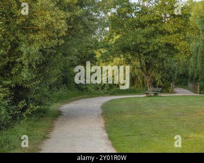 Ein kurviger Weg führt durch einen grünen Park mit einer Bank an der Seite, Proebstingsee, Borken, Münsterland, Deutschland, Europa Stockfoto