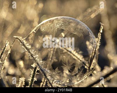 Seifenblase, auf der sich durch den Frost Eiskristalle gebildet haben. Im Licht der untergehenden Sonne. Auf der Seifenblase Due werden filigrane Muster erstellt Stockfoto