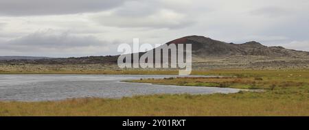 Alte Lavafelder, grüne Wiese und Teich in Island Stockfoto