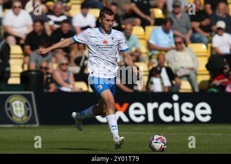 Barrow's Dean Campbell während des Spiels der Sky Bet League 2 zwischen Harrogate Town und Barrow in der Wetherby Road, Harrogate am Samstag, den 31. August 2024. (Foto: Michael Driver | MI News) Credit: MI News & Sport /Alamy Live News Stockfoto