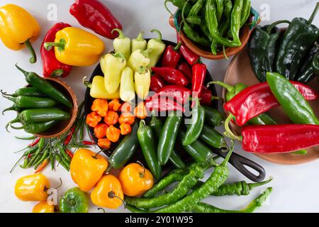 Eine Aussicht von oben nach unten auf eine Vielzahl von Chili-Paprika. Stockfoto