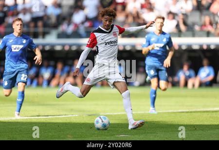 Frankfurt Am Main, Deutschland. 31. August 2024. 31.08.2024, Fussball Bundesliga, Eintracht Frankfurt - TSG 1899 Hoffenheim, emonline, emspor, v.l., Hugo Ekitike (Eintracht Frankfurt) DFL/DFB-VORSCHRIFTEN VERBIETEN DIE VERWENDUNG VON FOTOGRAFIEN ALS BILDSEQUENZEN UND/ODER QUASI-VIDEO. Xdcx Credit: dpa/Alamy Live News Stockfoto