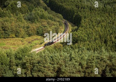 In der Nähe von Levisham, North Yorkshire, England, Großbritannien: 13. September 2018: Ein Zug der historischen North Yorkshire Moors Railway vorbei Newtondale, von S gesehen Stockfoto