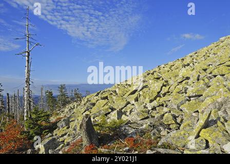 Der Lusengipfel im Bayerischen Wald Stockfoto