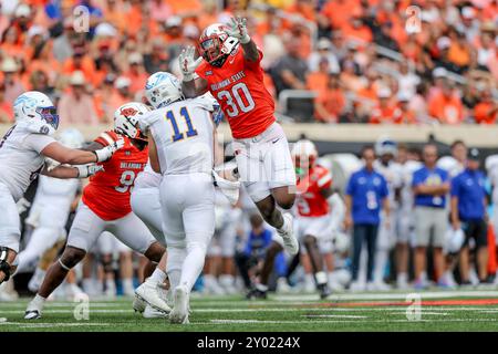 31. August 2024: Linebacker Collin Oliver (30) der Oklahoma State Cowboys übt während eines Fußballspiels zwischen den South Dakota State University Jackrabbits und den Oklahoma State Cowboys im Boone Pickens Stadium in Stillwater, OK, Verteidigungsdruck auf den Quarterback Mark Gronowski aus. Graues Siegel/CSM (Credit Image: © Gray Siegel/Cal Sport Media) Stockfoto