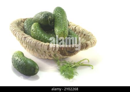 Eingelegte Gurken in einem kleinen Korb vor weißem Hintergrund Stockfoto