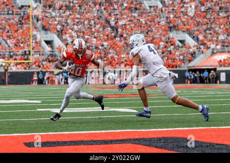 31. August 2024: Brennan Presley (80) stürzt mit dem Ball während eines Fußballspiels zwischen den South Dakota State University Jackrabbits und den Oklahoma State Cowboys im Boone Pickens Stadium in Stillwater. Graues Siegel/CSM Stockfoto