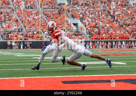 31. August 2024: Brennan Presley (80) stürzt mit dem Ball während eines Fußballspiels zwischen den South Dakota State University Jackrabbits und den Oklahoma State Cowboys im Boone Pickens Stadium in Stillwater. Graues Siegel/CSM Stockfoto