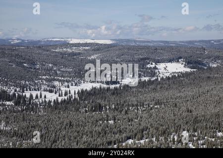 Blick von Lusen, Blick von Lusen Stockfoto