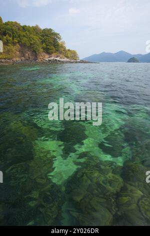 Ein Korallenriff, perfekt zum Schnorcheln oder Tauchen unter kristallklarem, grünem Wasser im Tarutao Nationalpark, Thailand, Asien Stockfoto