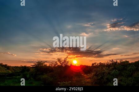 Sonnenuntergang über dem afrikanischen Busch in Südafrika Stockfoto