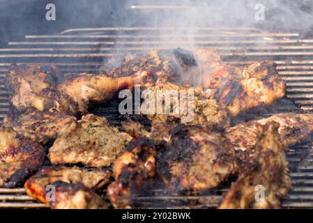 Nahaufnahme von Hähnchenstücken, die auf einem rauchigen Grill gegrillt werden, perfekt für Sommerkochen und Grillinhalte. Stockfoto