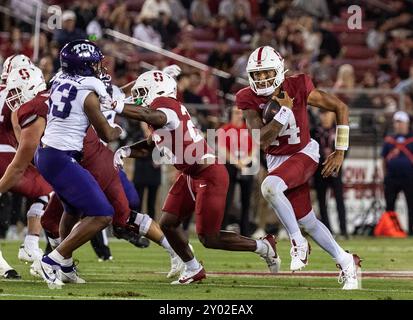 August 30 2024 Palo Alto, CA USA der Stanford Quarterback Ashton Daniels (14) läuft im NCAA/ACC Football Spiel zwischen TCU Horned Frogs und dem Stanford Cardinal um den ersten Niedergang. TCU besiegte Stanford 34-27 im Stanford Stadium Palo Alto, CA Thurman James/CSM Stockfoto