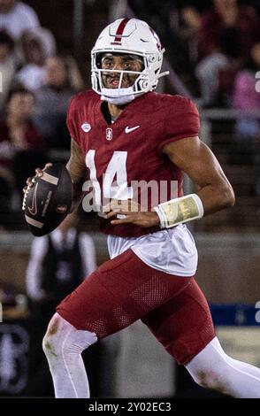 August 30 2024 Palo Alto, CA USA Stanford Quarterback Ashton Daniels (14) sucht während des NCAA/ACC Football-Spiels zwischen TCU Horned Frogs und dem Stanford Cardinal nach dem tiefen Pass. TCU besiegte Stanford 34-27 im Stanford Stadium Palo Alto, CA Thurman James/CSM Stockfoto