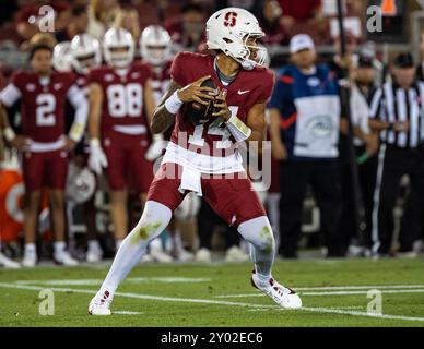 August 30 2024 Palo Alto, CA USA Stanford Quarterback Ashton Daniels (14) sucht während des NCAA/ACC Football-Spiels zwischen TCU Horned Frogs und dem Stanford Cardinal nach dem tiefen Pass. TCU besiegte Stanford 34-27 im Stanford Stadium Palo Alto, CA Thurman James/CSM Stockfoto