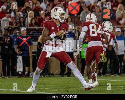 August 30 2024 Palo Alto, CA USA Stanford Quarterback Ashton Daniels (14) sucht während des NCAA/ACC Football-Spiels zwischen TCU Horned Frogs und dem Stanford Cardinal nach dem tiefen Pass. TCU besiegte Stanford 34-27 im Stanford Stadium Palo Alto, CA Thurman James/CSM Stockfoto