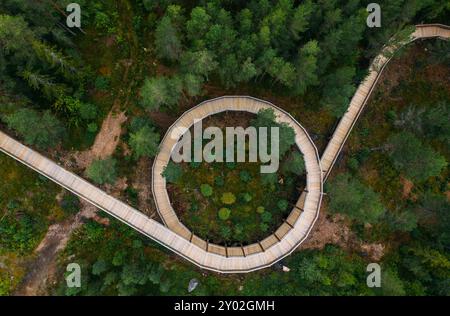 Hamaren Activity Park Green Pines Trees aus der Vogelperspektive mit geschwungenem Baumwipfelpfad. Bild des Konzepts Reisen, Architektur und Schönheit in der Natur. S Stockfoto