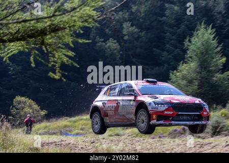 Aberystwyth, Dyfed, Großbritannien. 31. August 2024. 2024 FIA Rallye-Europameisterschaft Tag 2; Fahrer Andrea Mabellni und Beifahrerin Virginia Lenzi in ihrer Skoda Fabia RS Leistung durch Nant Y Moch Stage 5 Credit: Action Plus Sports/Alamy Live News Stockfoto