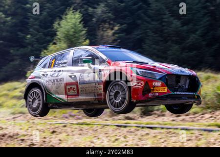 Aberystwyth, Dyfed, Großbritannien. 31. August 2024. 2024 FIA Rallye-Europameisterschaft Tag 2; Fahrer Hayden Paddon und Beifahrer John Kennard in ihrer Hyundai i20 N Power durch Nant Y Moch Stage 5 Credit: Action Plus Sports/Alamy Live News Stockfoto