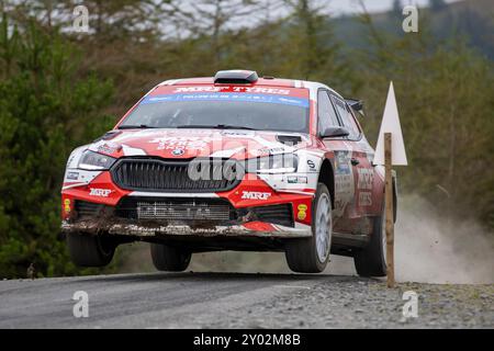 Aberystwyth, Dyfed, Großbritannien. 31. August 2024. 2024 FIA Rallye-Europameisterschaft Tag 2; Fahrer Andrea Mabellni und Beifahrerin Virginia Lenzi in ihrer Skoda Fabia RS Leistung durch Nant Y Moch Stage 8 Credit: Action Plus Sports/Alamy Live News Stockfoto