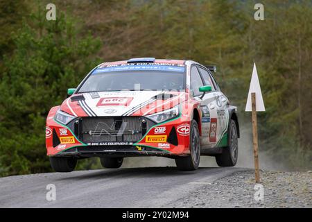 Aberystwyth, Dyfed, Großbritannien. 31. August 2024. 2024 FIA Rallye-Europameisterschaft Tag 2; Fahrer Hayden Paddon und Beifahrer John Kennard in ihrem Hyundai i20 N Power durch Nant Y Moch Stage 8 Credit: Action Plus Sports/Alamy Live News Stockfoto