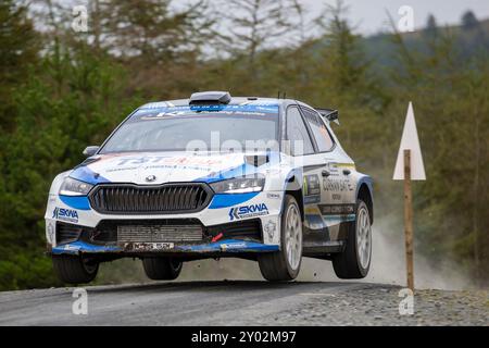 Aberystwyth, Dyfed, Großbritannien. 31. August 2024. 2024 FIA Rallye-Europameisterschaft Tag 2; Fahrer Callum Devine und Beifahrer Noel O'Sullivan in ihrem Skoda Fabia RS-Rennen durch Nant Y Moch Phase 8. Credit: Action Plus Sports/Alamy Live News Stockfoto