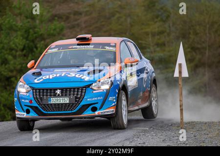 Aberystwyth, Dyfed, Großbritannien. 31. August 2024. 2024 FIA Rallye-Europameisterschaft Tag 2; Fahrer Daniel Polasek und Beifahrer Zdenek Omelka in ihrer Peugeot 208 Rally4 durch Nant Y Moch Stufe 8 Credit: Action Plus Sports/Alamy Live News Stockfoto