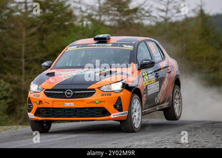 Aberystwyth, Dyfed, Großbritannien. 31. August 2024. 2024 FIA European Rally Championship Day 2; Fahrer Eamonn Kelly und Beifahrer Rory Kennedy in ihrer Ford Fiesta Rally3 durch Nant Y Moch Stage 8. Credit: Action Plus Sports/Alamy Live News Stockfoto