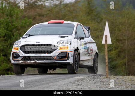 Aberystwyth, Dyfed, Großbritannien. 31. August 2024. 2024 FIA European Rallyemeisterschaft Tag 2; Fahrer Jakub Matulka und Beifahrer Daniel Dymurski in ihrer Ford Fiesta Rally3 Power durch Nant Y Moch Stage 8 Credit: Action Plus Sports/Alamy Live News Stockfoto