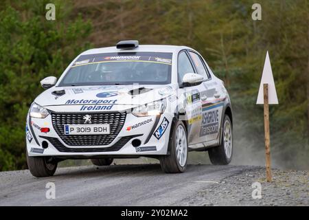 Aberystwyth, Dyfed, Großbritannien. 31. August 2024. 2024 FIA Rallyemeisterschaft Tag 2; Fahrer Davide Pesavento und Beifahrer Flavio Zanella in ihrer Peugeot 208 Rally4 durch Nant Y Moch Phase 8. Credit: Action Plus Sports/Alamy Live News Stockfoto