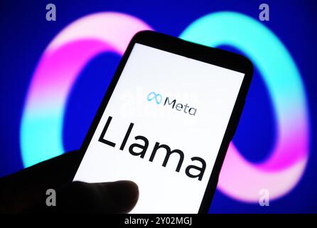 In dieser Abbildung ist ein Meta Llama (Large Language Model Meta AI) Logo auf einem Smartphone-Bildschirm zu sehen. Stockfoto