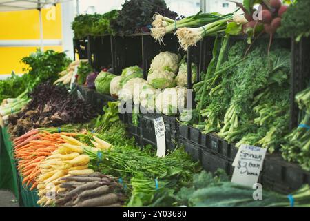 Ein Blick auf einen Tisch voller verschiedener frischer Bauerngemüse. Stockfoto