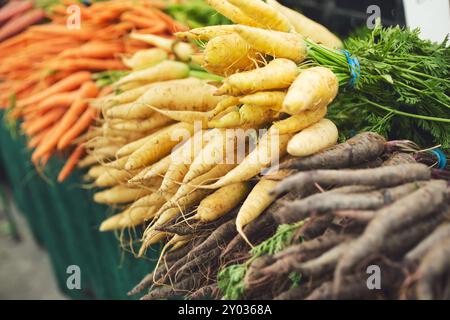 Ein Blick auf mehrere Karottenhaufen, die auf einem lokalen Bauernmarkt ausgestellt werden. Stockfoto