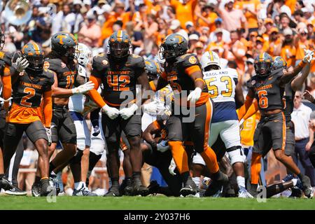 31. August 2024: Tennessee Volunteers Defense feiert einen Fumble, der durch Tennessee Volunteers Defensive Lineman Tyre West #42 während des NCAA-Fußballspiels zwischen den University of Tennessee Volunteers und den Chattanooga MOCs im Neyland Stadium in Knoxville, TN Tim Gangloff/CSM verursacht wurde Stockfoto