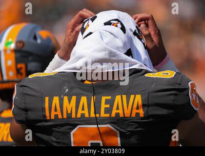 31. August 2024: Tennessee Volunteers Quarterback Nico Iamaleava #8 während des NCAA Football Spiels zwischen den University of Tennessee Volunteers und den Chattanooga MOCs im Neyland Stadium in Knoxville, TN Tim Gangloff/CSM Stockfoto