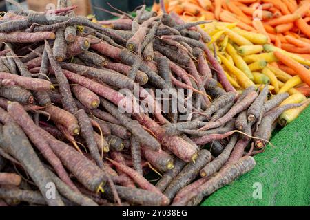 Ein Blick auf mehrere Karottenhaufen, die auf einem lokalen Bauernmarkt ausgestellt werden. Stockfoto