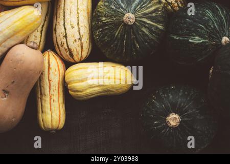 Ein Blick von oben auf mehrere Sorten von Winterkürbis. Stockfoto