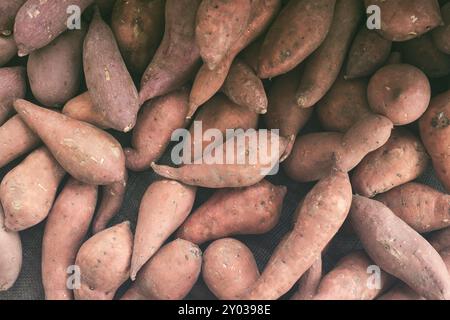 Ein Blick von oben nach unten auf einen Haufen Süßkartoffeln, auf einem lokalen Bauernmarkt. Stockfoto