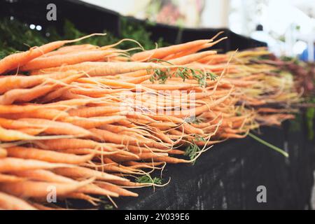 Ein Blick auf einen Tisch mit einem großen Haufen Karotten, auf einem lokalen Bauernmarkt. Stockfoto