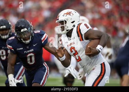 31. August 2024: Campbell Fighting Camels Quarterback Chad Mascoe Jr. (2) krabbelt während des NCAA-Fußballspiels zwischen den Campbell Fighting Camels und den Liberty Flames im Williams Stadium in Lynchburg, VA, aus der Tasche. Jonathan Huff/CSM (Bild: © Jonathan Huff/Cal Sport Media) Stockfoto