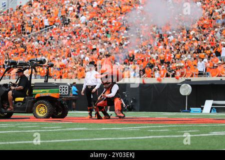 31. August 2024: Oklahoma State University Mascot Pistol Pete während eines Fußballspiels zwischen den South Dakota State University Jackrabbits und den Oklahoma State Cowboys im Boone Pickens Stadium in Stillwater, OK. Graues Siegel/CSM. Korrigiert eine frühere Version dieses Bildes, bei der die Ereignisinformationen falsch identifiziert wurden Stockfoto